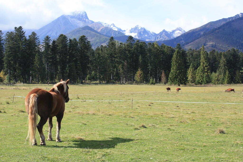 Penzion Koliba Vysoké Tatry Extérieur photo